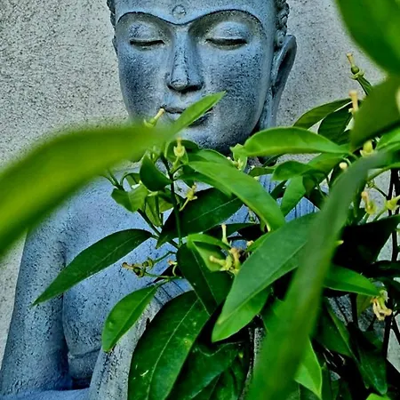 Maison Nimoise 尼姆